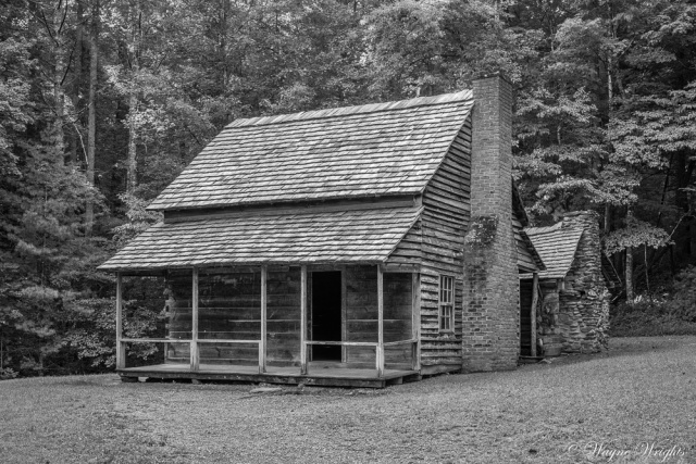 "Henry Whitehead Cabin"